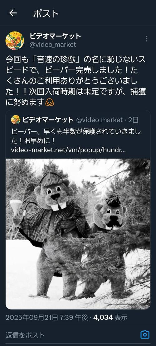 312289.jpg